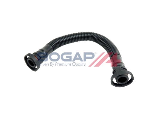 A1210124 Bogap