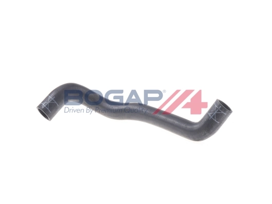A4228136 Bogap