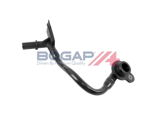 W4228100 Bogap