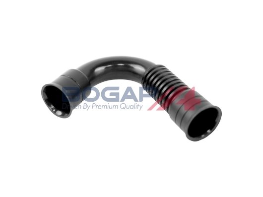 A1210163 Bogap