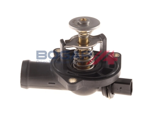 A4245132 Bogap
