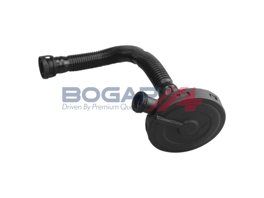 A1211108 Bogap
