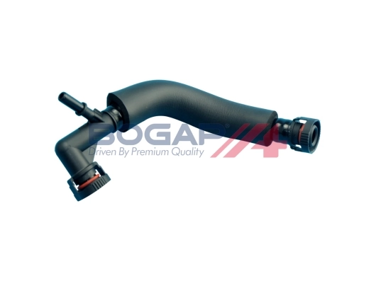 B1210116 Bogap