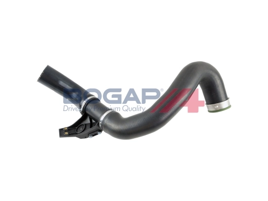C1711144 Bogap