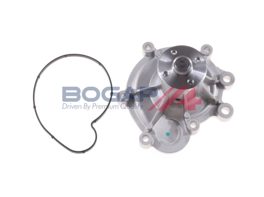 C4234113 Bogap