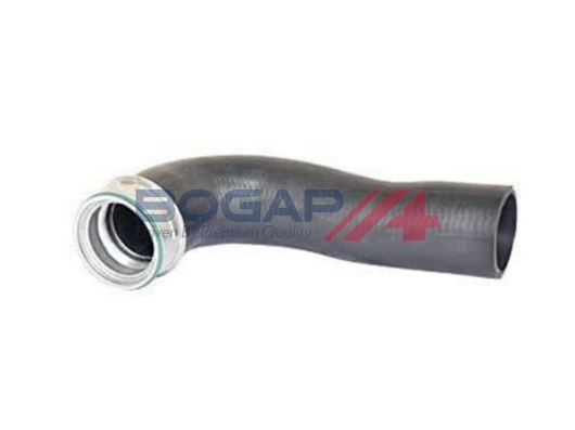 A1711205 Bogap