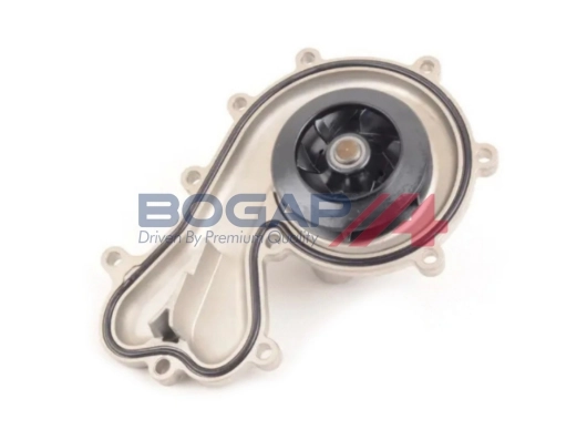A4234135 Bogap