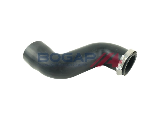 C1711149 Bogap