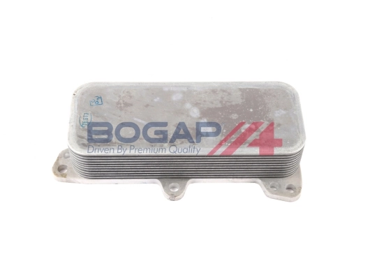 A4222107 Bogap