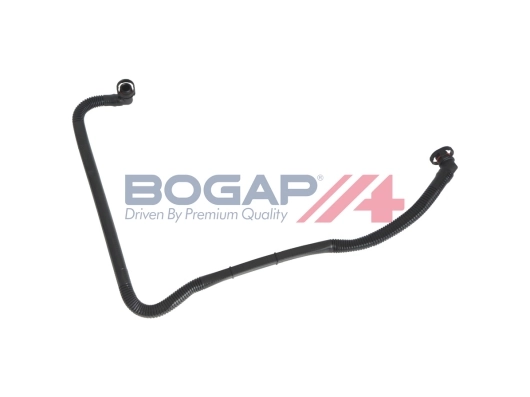 A1210116 Bogap