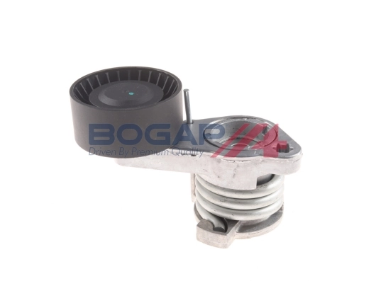 B1317107 Bogap