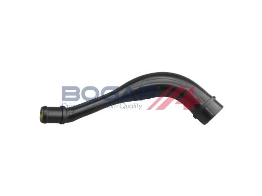 A1210110 Bogap