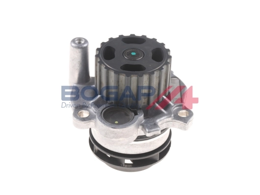 A4234161 Bogap