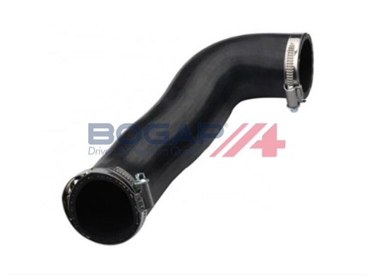 A1711263 Bogap