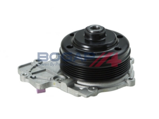 C4234106 Bogap