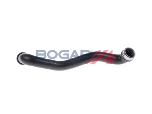 C4228126 Bogap