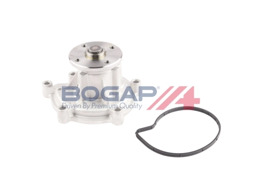 C4234119 Bogap