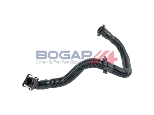 A1210131 Bogap