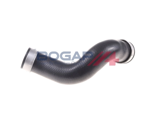 C1711119 Bogap
