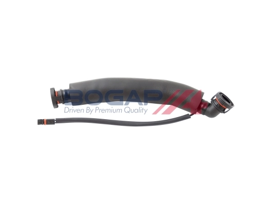 B1210100 Bogap