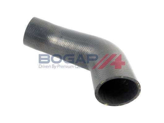 A1711187 Bogap