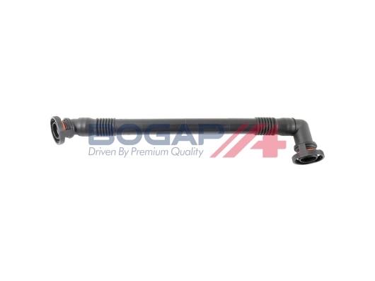 B1210117 Bogap