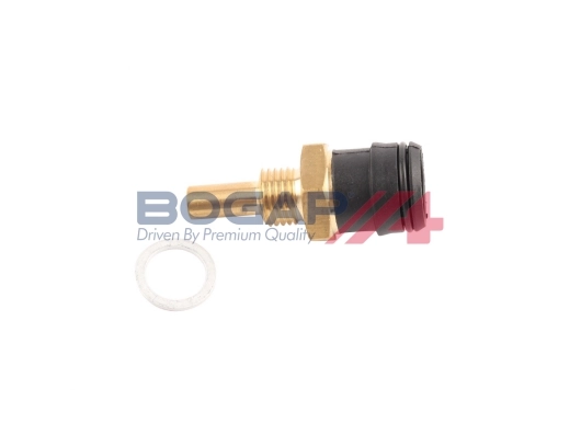 C4126111 Bogap