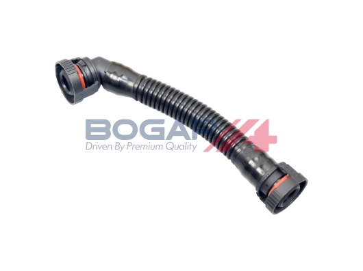 B1210106 Bogap