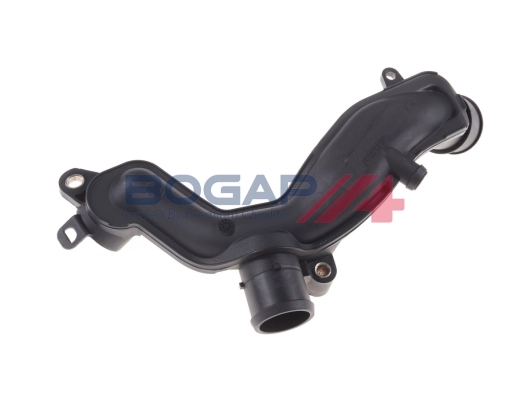 E4229101 Bogap