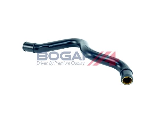 A1210177 Bogap