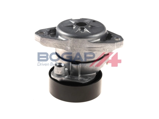 C1317104 Bogap