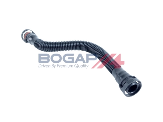 B1210160 Bogap