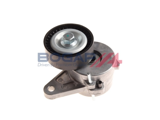 A1317118 Bogap