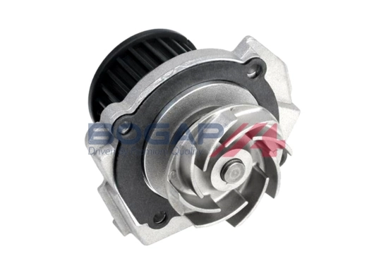 W4234101 Bogap