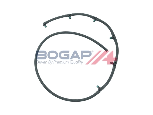 B1621106 Bogap