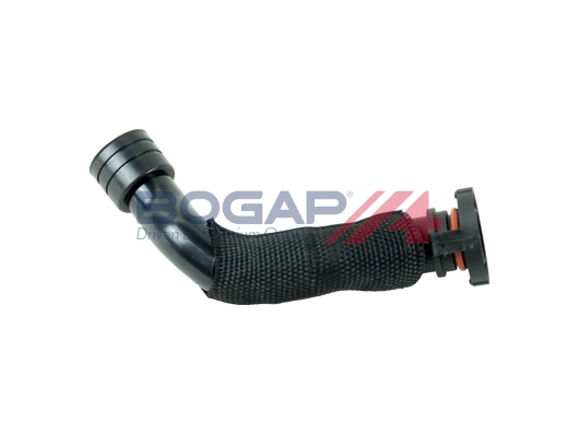A1210172 Bogap