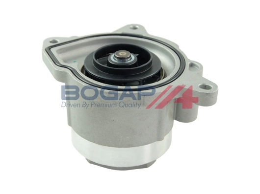A4234137 Bogap