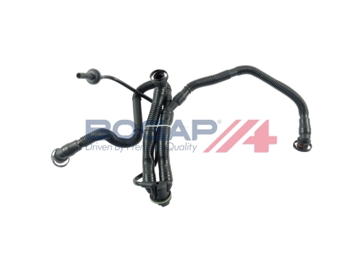 A1210119 Bogap