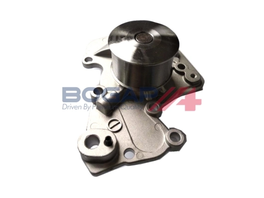 Y4234100 Bogap