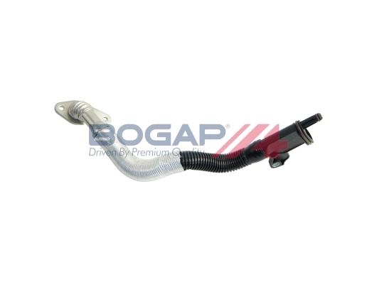 A1210211 Bogap