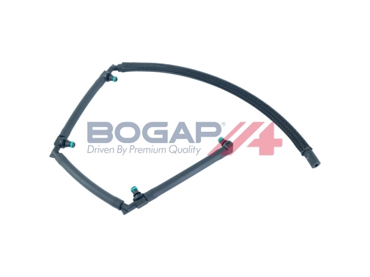 P1621110 Bogap