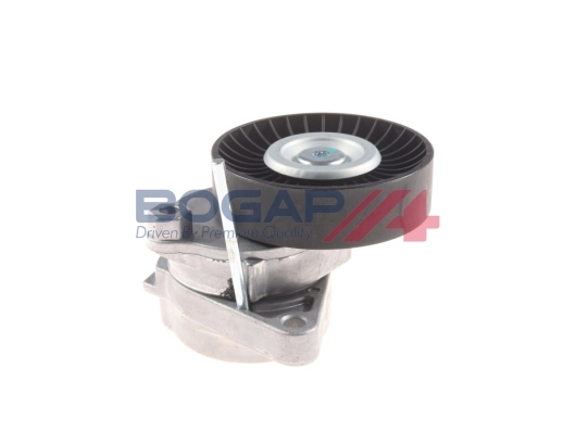 C1317106 Bogap