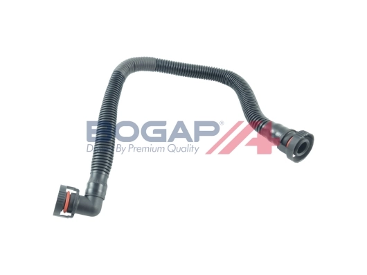 A1210138 Bogap