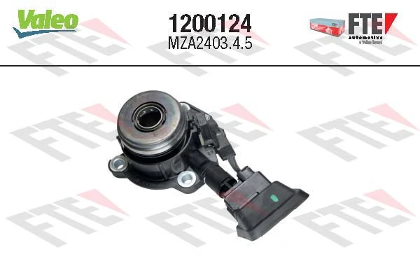 1200124 FTE