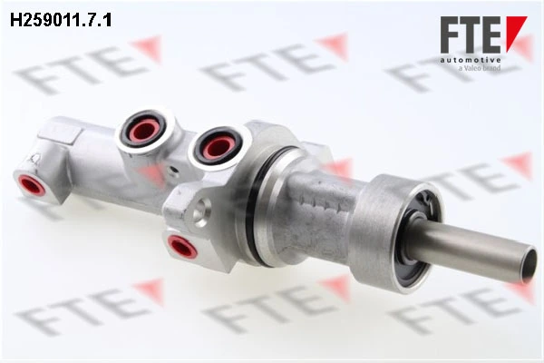 H25901171 FTE
