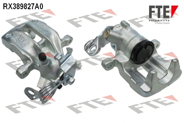 RX389827A0 FTE