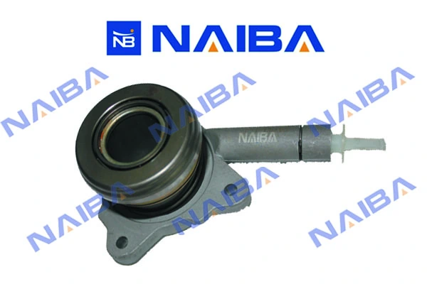 CSC024 Naiba