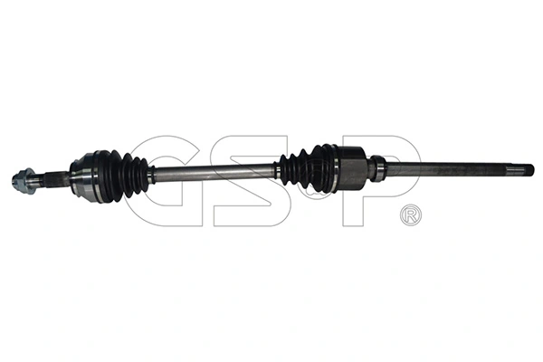 217050 GSP