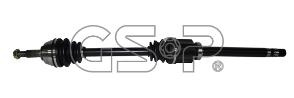 250447 GSP