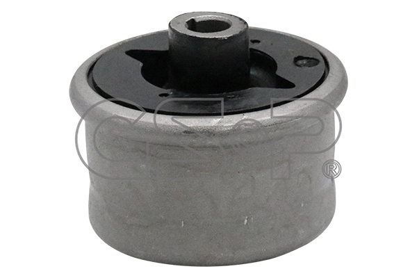 516463 GSP